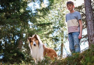 Hündin Lassie und ein Junge stehen im Wald an einem Abgrund und gucken runter
